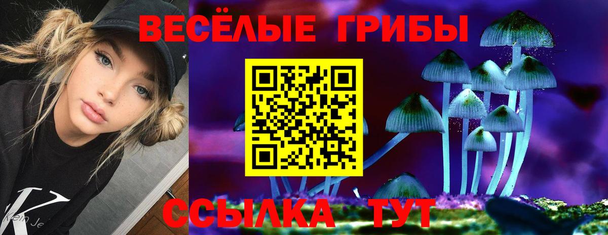 Чехов  Галлюциногенные грибы Magic Shrooms  Галлюциногенные грибы Cubensis  Вход с VPN 