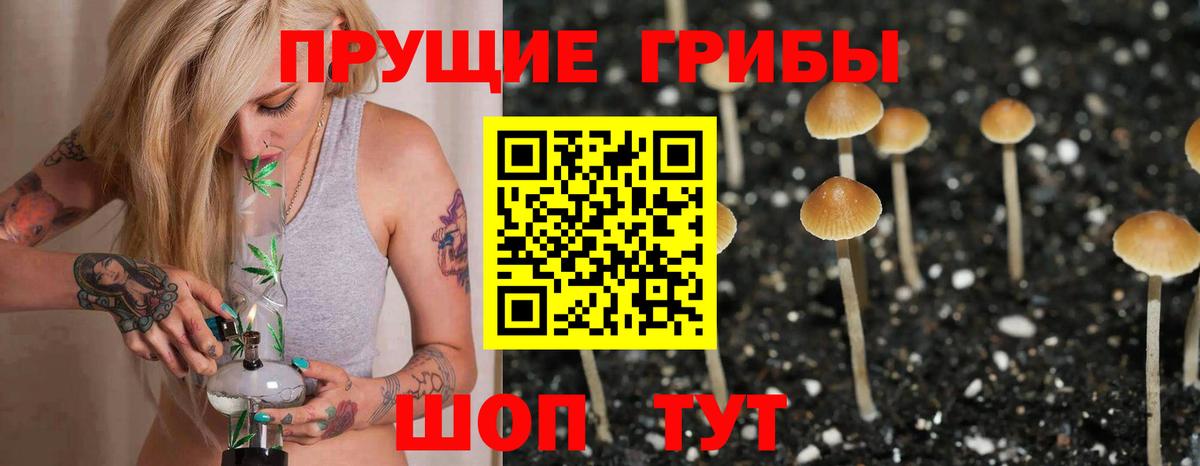 Галлюциногенные грибы GOLDEN TEACHER Чехов